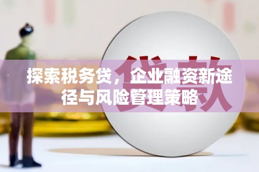天元探索税务贷，企业融资新途径与风险管理策略