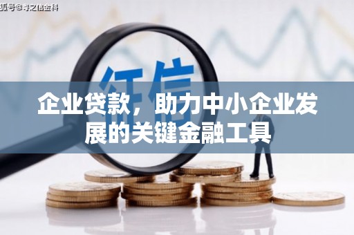 天元企业贷款，助力中小企业发展的关键金融工具