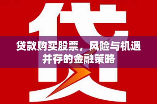 天元贷款购买股票，风险与机遇并存的金融策略