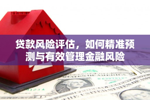 天元贷款风险评估，如何精准预测与有效管理金融风险