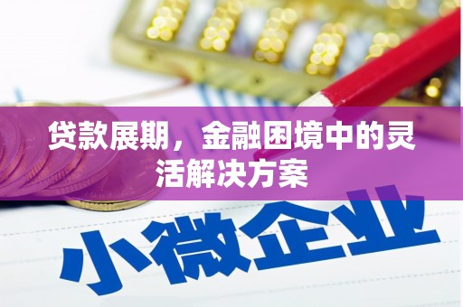 天元贷款展期，金融困境中的灵活解决方案