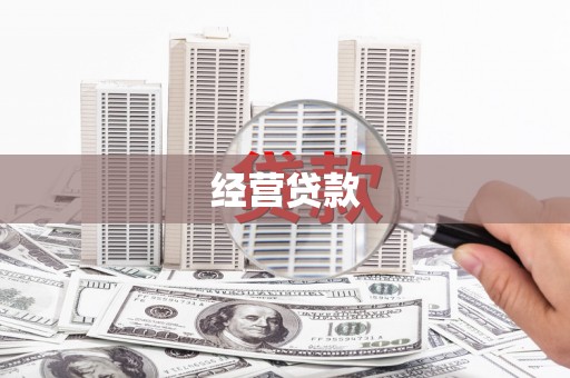 天元经营贷款