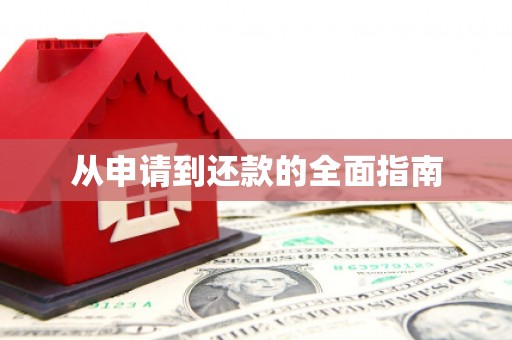 天元从申请到还款的全面指南