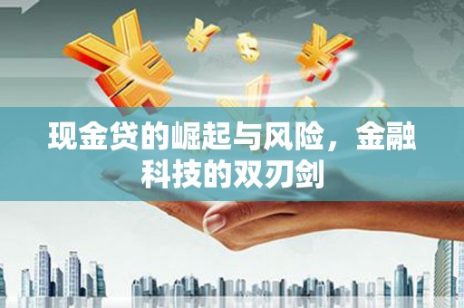 天元现金贷的崛起与风险，金融科技的双刃剑