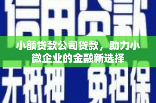 天元小额贷款公司贷款，助力小微企业的金融新选择