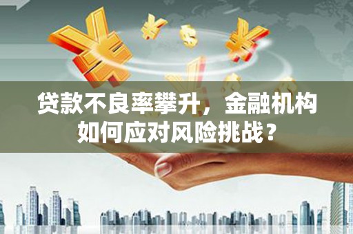天元贷款不良率攀升，金融机构如何应对风险挑战？