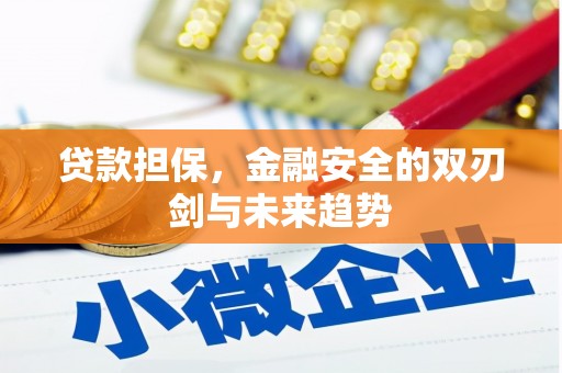 天元贷款担保，金融安全的双刃剑与未来趋势