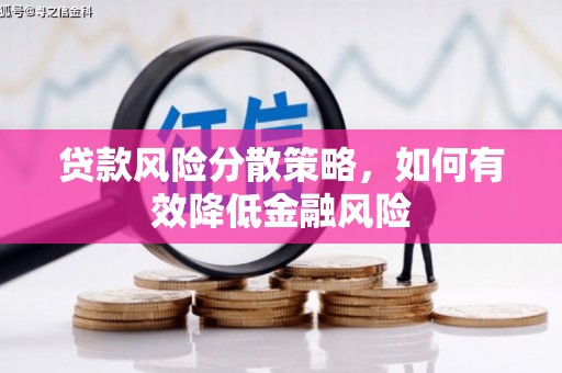 天元贷款风险分散策略，如何有效降低金融风险