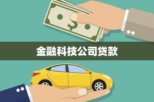 天元金融科技公司贷款