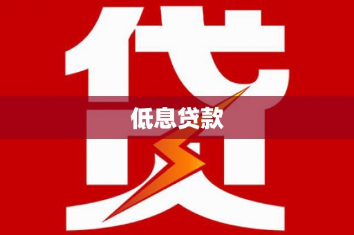 天元低息贷款