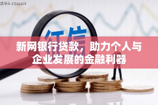 天元新网银行贷款，助力个人与企业发展的金融利器