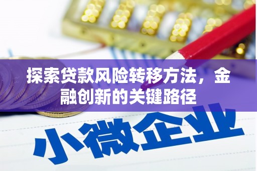 天元探索贷款风险转移方法，金融创新的关键路径