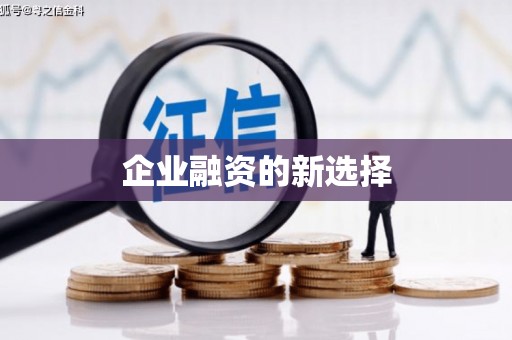 天元企业融资的新选择