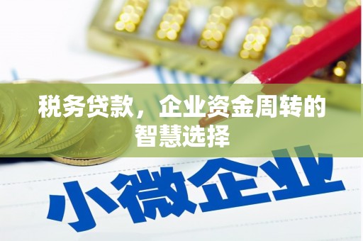 天元税务贷款，企业资金周转的智慧选择
