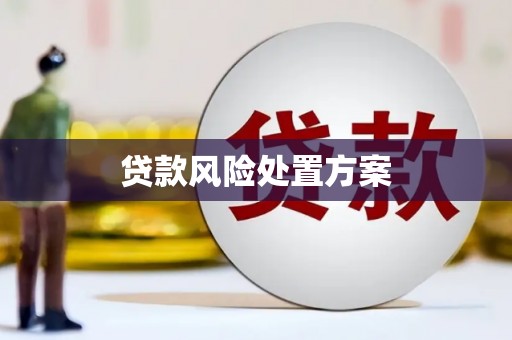 天元贷款风险处置方案