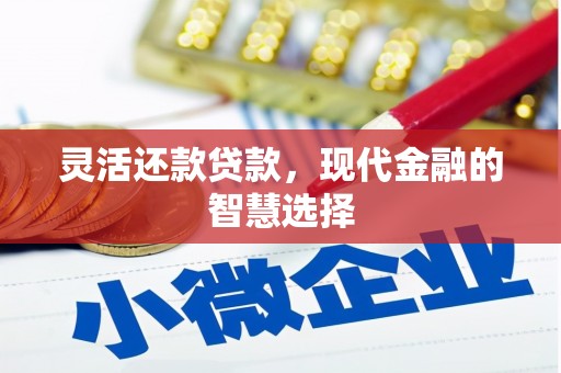 天元灵活还款贷款，现代金融的智慧选择
