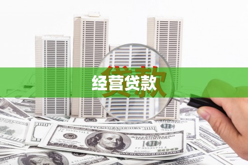 天元经营贷款
