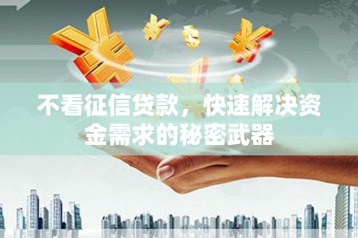 天元不看征信贷款，快速解决资金需求的秘密武器