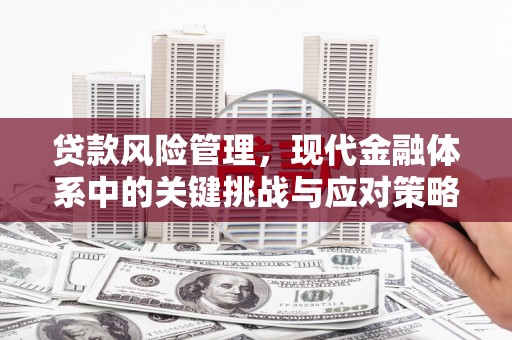 天元贷款风险管理，现代金融体系中的关键挑战与应对策略