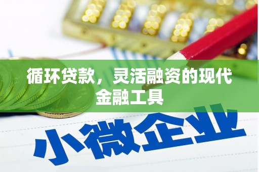 天元循环贷款，灵活融资的现代金融工具