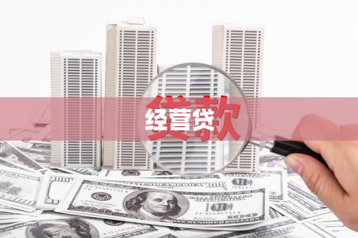 天元经营贷