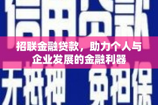 天元招联金融贷款，助力个人与企业发展的金融利器