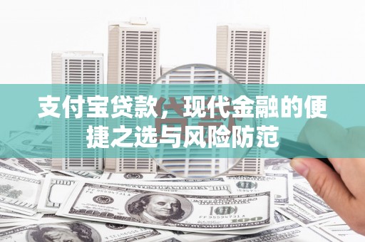天元支付宝贷款，现代金融的便捷之选与风险防范