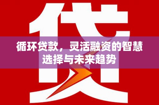 天元循环贷款，灵活融资的智慧选择与未来趋势