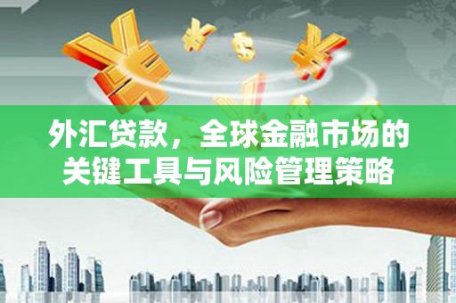 天元外汇贷款，全球金融市场的关键工具与风险管理策略