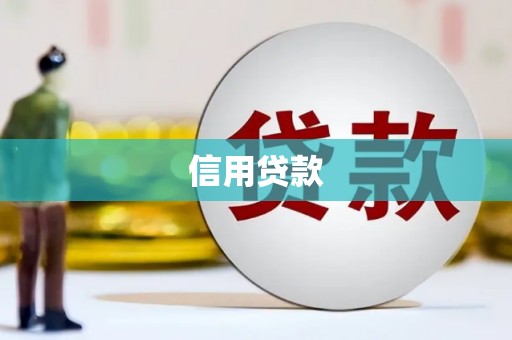 天元信用贷款