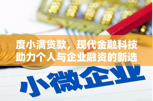 天元度小满贷款，现代金融科技助力个人与企业融资的新选择
