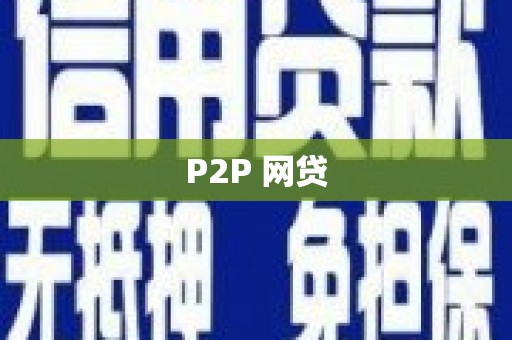 天元P2P 网贷