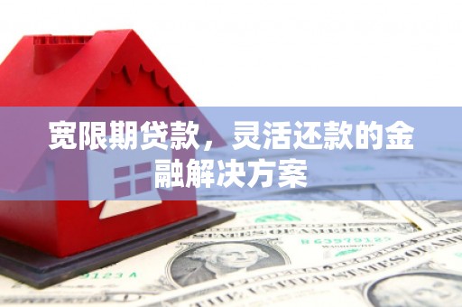 天元宽限期贷款，灵活还款的金融解决方案
