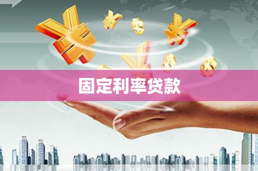 天元固定利率贷款