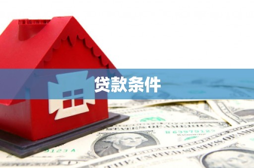 天元贷款条件