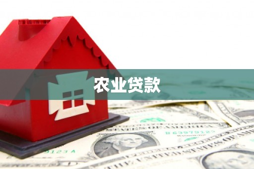 天元农业贷款