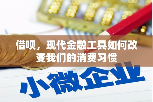 天元借呗，现代金融工具如何改变我们的消费习惯