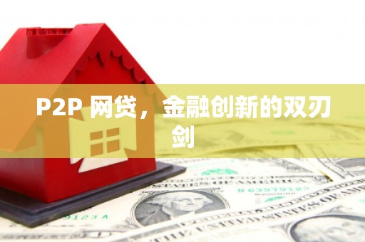 天元P2P 网贷，金融创新的双刃剑