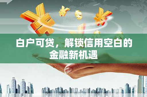 天元白户可贷，解锁信用空白的金融新机遇