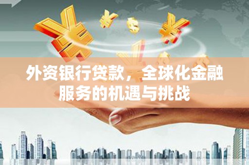 天元外资银行贷款，全球化金融服务的机遇与挑战