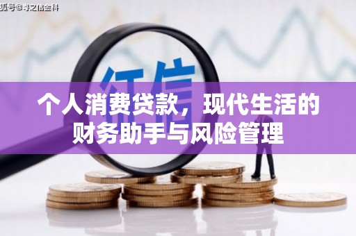 天元个人消费贷款，现代生活的财务助手与风险管理