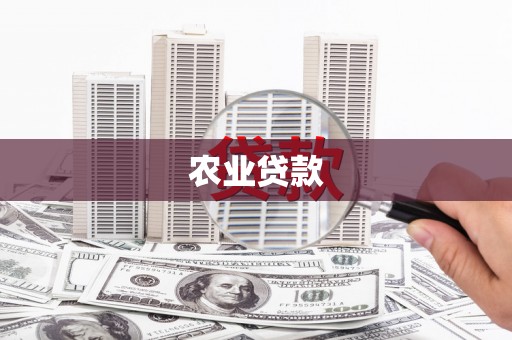 天元农业贷款