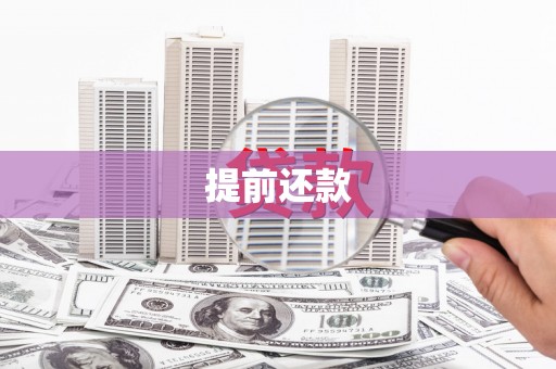 天元提前还款