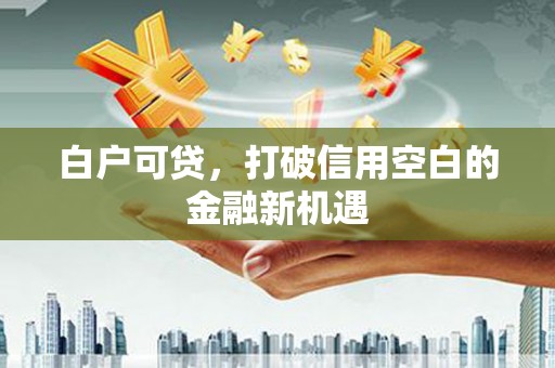 天元白户可贷，打破信用空白的金融新机遇