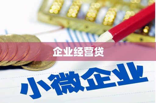 天元企业经营贷