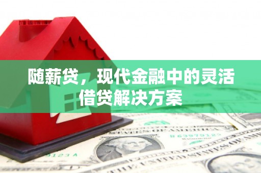 天元随薪贷，现代金融中的灵活借贷解决方案