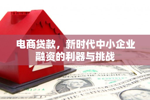 天元电商贷款，新时代中小企业融资的利器与挑战