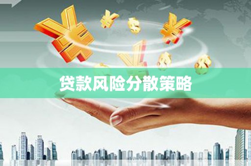 天元贷款风险分散策略