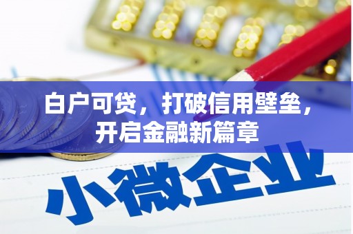 天元白户可贷，打破信用壁垒，开启金融新篇章