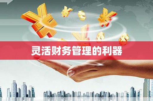 天元灵活财务管理的利器
